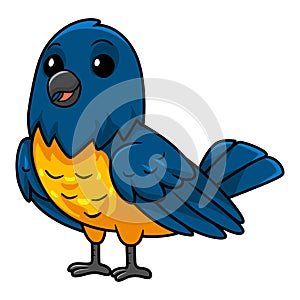 Cute thraupidae black and gold tanager bird cartoon