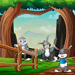 Cute three bunnies playing in the nature