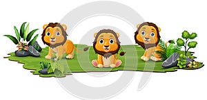 Cute three lion cartoon in the grass