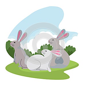 Cute three rabbits animals cartoons