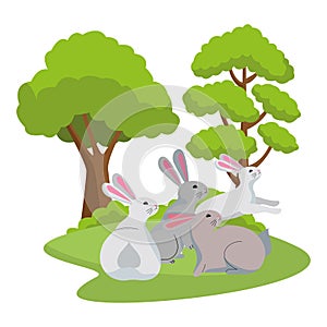 Cute three rabbits animals cartoons