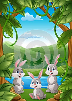 Cute three rabbits cartoon in the jungle