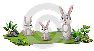 Cute three rabbits cartoon in the jungle