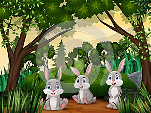 Cute three rabbits cartoon in the jungle