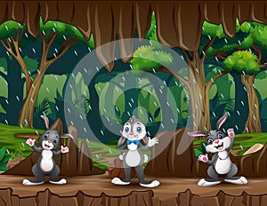 Cute three of rabbits in the cave entrance