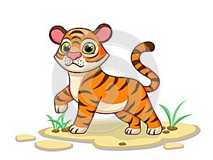 Cute Tiger Cartoon Characters on white background. Kid, baby vector art illustration with funny animal