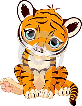 Cute tiger cub