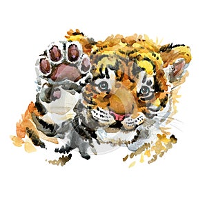 Cute tiger cub watercolor illustration. wild baby animals series