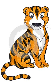 Cute tiger illustration isolated on white. Marker drawing in childish style for kids books and prints. Year 2022 symbol is tiger