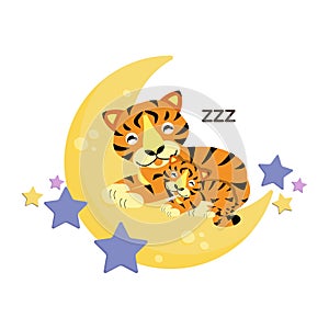 Cute Tiger mom and baby sleep on the moon photo