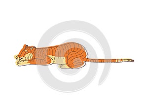 Cute tiger sleeping on the ground. Wild animal with orange coat. Large predatory cat. Hand drawn vector design