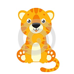 Cute tiger. Wild animal. Cartoon character. Colorful vector illustration. Isolated on white background. Design element. Template