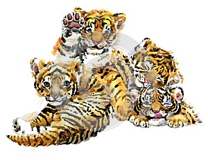 Cute tigers cub watercolor illustration. wild baby animals series