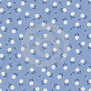 Cute tiny daisy on blue color background seamless pattern photo