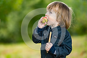 Cute toddler boy eating an apple in apple tree orchard in summer day. Child picking fruits in a garden. Fresh healthy food for