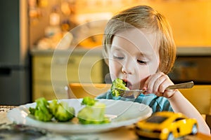 Cute toddler boy eating broccoli. First solid foods. Fresh organic vegetables for infants. Healthy nutrition for the family