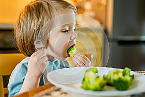 Cute toddler boy eating broccoli. First solid foods. Fresh organic vegetables for infants. Healthy nutrition for the family