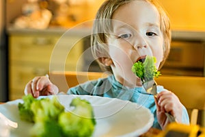 Cute toddler boy eating broccoli. First solid foods. Fresh organic vegetables for infants. Healthy nutrition for the family