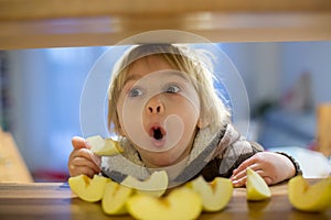 Cute toddler boy, eating green apple piece