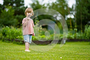 Cute toddler boy eating tasty fresh ice cream outdoors on warm sunny summer day. Children eating sweets