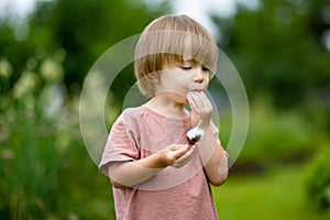 Cute toddler boy eating tasty fresh ice cream outdoors on warm sunny summer day. Children eating sweets