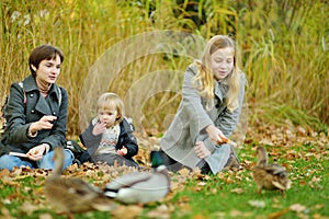 Cute toddler boy and his two older sisters feeding ducks on autumn day. Children feeding birds outdoors