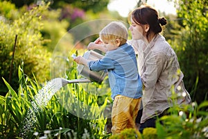 Cute toddler boy and his young mother watering plants in the garden