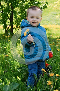 Cute toddler boy holding spring flowers in his hand.