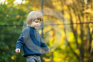 Cute toddler boy jumping on a trampoline in a backyard on warm and sunny summer day. Sports and exercises for children. Summer