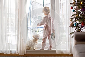 Cute toddler boy in pajama, standing in front of a big french windows with his pet dog, enjoying the snow