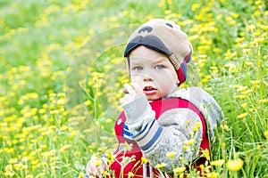 Cute toddler boy plucks flowers