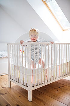 Cute toddler boy standing in a cot at home.