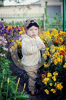 Cute toddler boy standing in the flowers