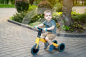 A cute toddler boy of two or three years old rides a bicycle or balance bike in a city park on a sunny summer day. Toddlerhood and