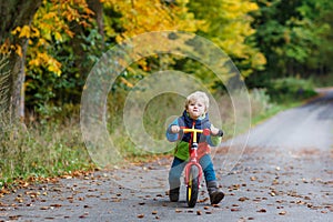 Cute toddler boy of two years riding bike in autumn forest