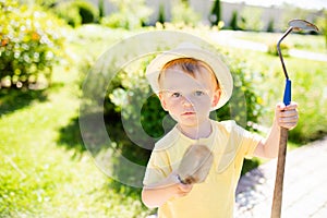 Cute toddler boy working in the garden, squash plants