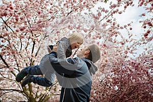 Cute toddler child, boy playing happily in pink blooming sacura garden