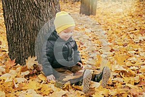 Cute toddler child boy sitting near huge maple tree in autumn park. Fall nature banner with copy space