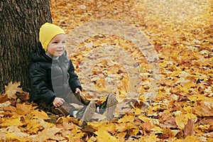 Cute toddler child boy sitting near huge maple tree in autumn park. Fall nature banner with copy space