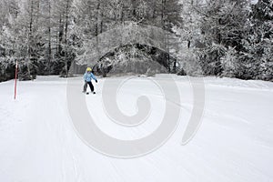 Cute toddler child in colorful ski wear, skiing in Italy on a sunny day, kids and adults skiing together