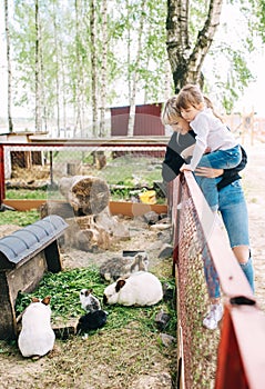 Cute toddler child girl and her mother looking on rabits sitting in cage at the zoo or animal farm