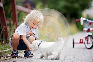 Cute toddler child with white maltese puppy, playing in the park, walking