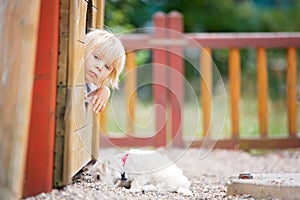 Cute toddler child with white maltese puppy, playing in the park, walking