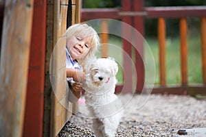 Cute toddler child with white maltese puppy, playing in the park, walking