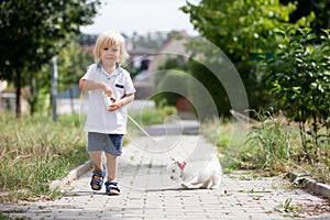 Cute toddler child with white maltese puppy, playing in the park, walking