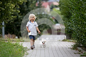 Cute toddler child with white maltese puppy, playing in the park, walking