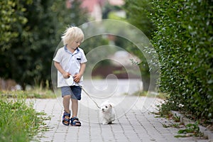 Cute toddler child with white maltese puppy, playing in the park, walking