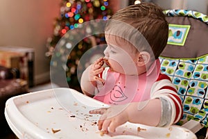 cute toddler eating food and candy in front of a christmas tree