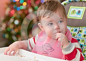 cute toddler eating food and candy in front of a christmas tree