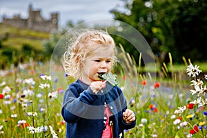 Cute toddler girl with Irish cloverleaf lollipop with Rock of Cashel castle on background. Happy healthy child on flower